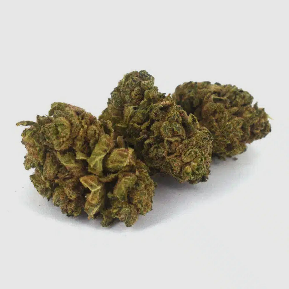 Alien OG 2