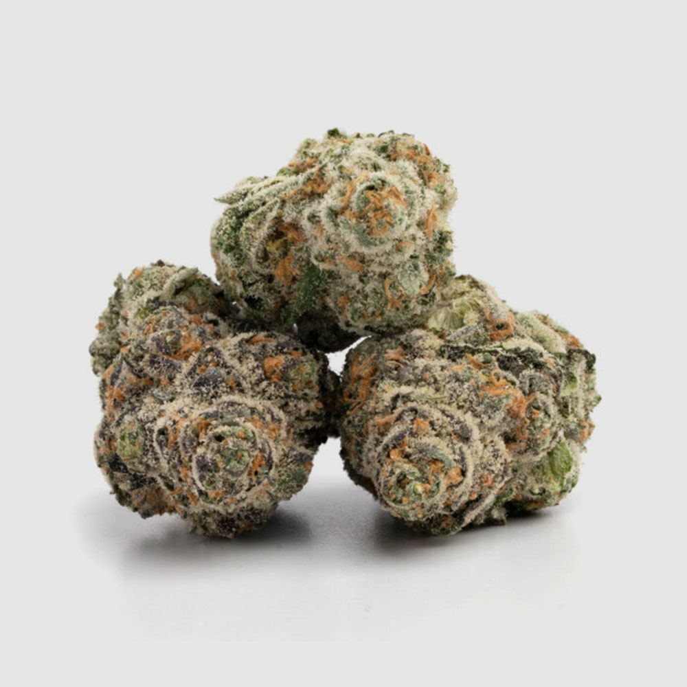 Gelato-7-600x600-1