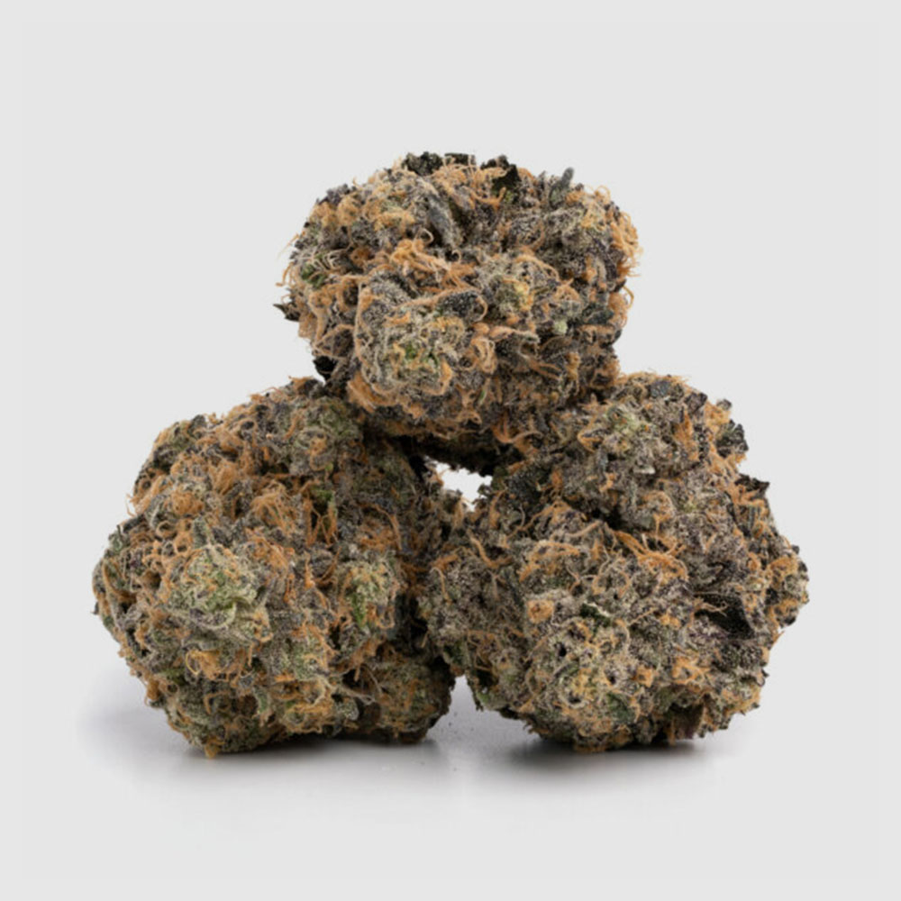 boloruntz2