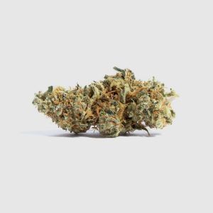 Gorilla Glue