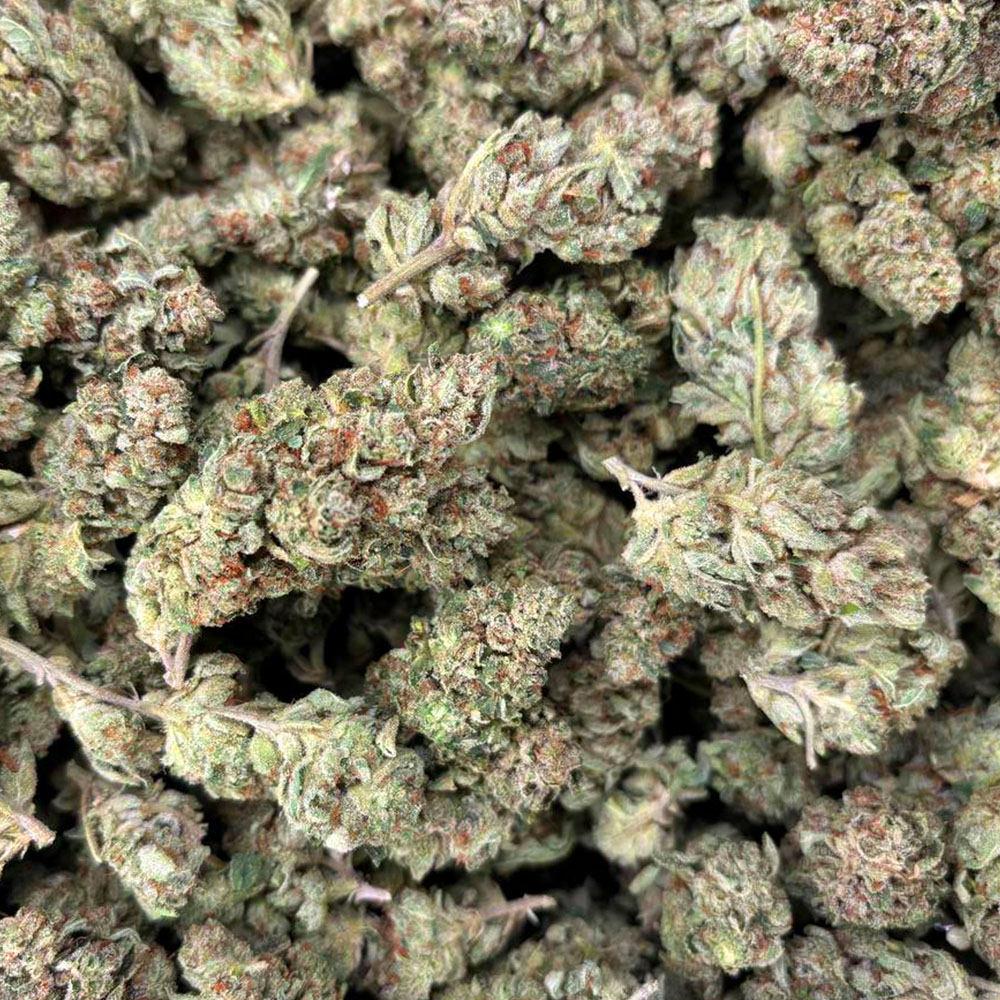 gg4