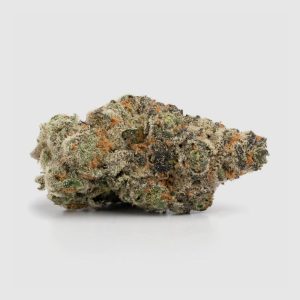 LA Gelato