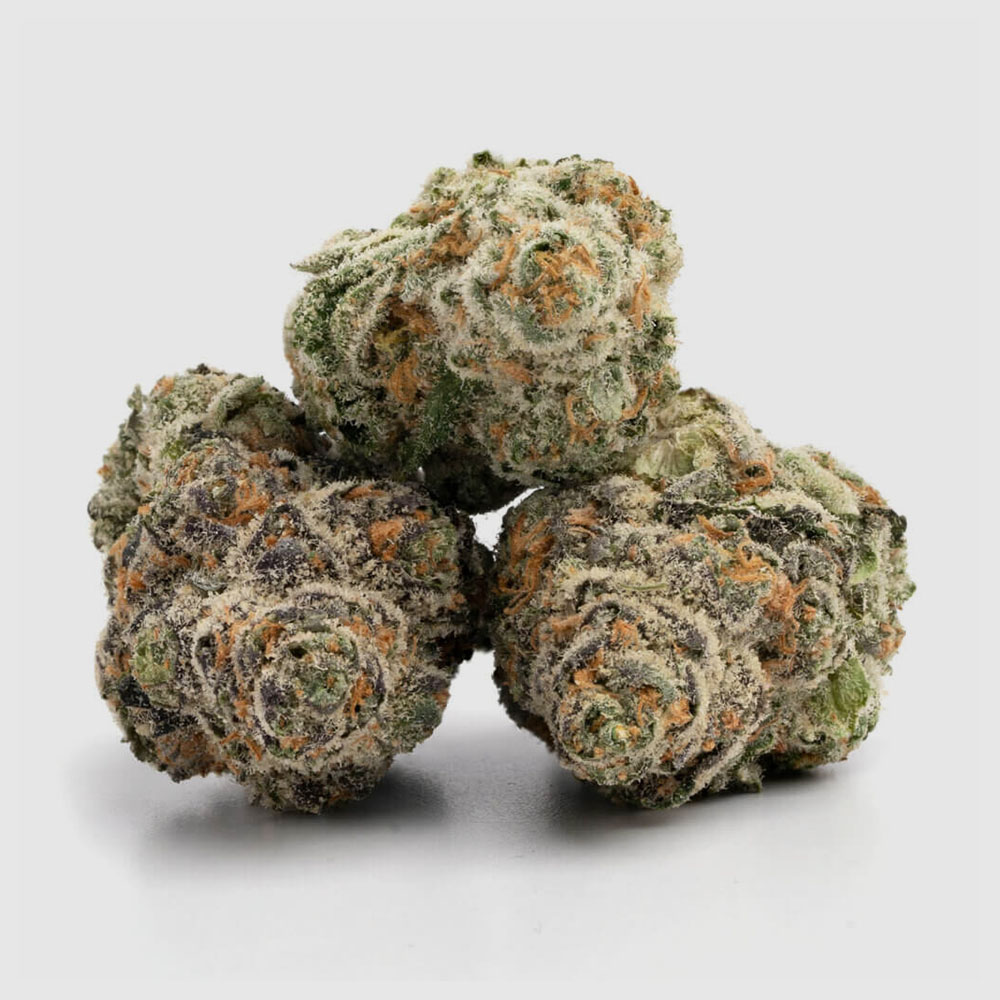 lagelato3