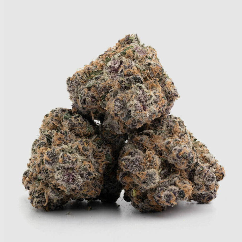 mendopurp3