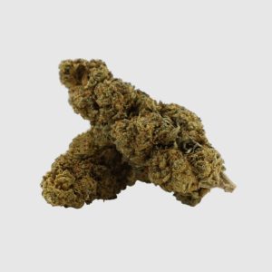 Tropical Haze